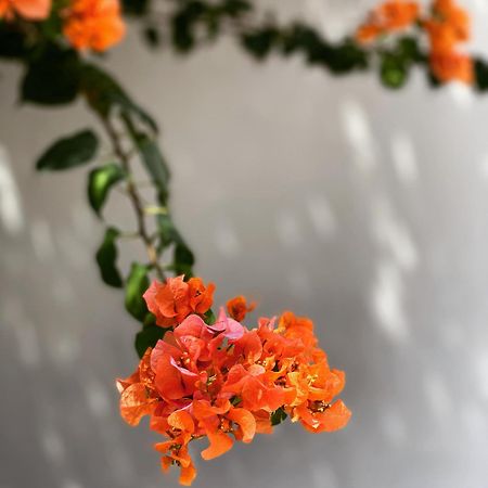 The Killians Boutique Hotel Kochi Buitenkant foto